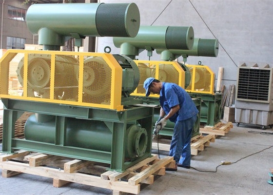 10" 80kpa 71.52m3/Min 132kw Cast Iron Three Lobe Roots Blower