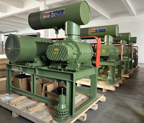 Nước làm mát gốc máy thổi không khí, BKW5003 Blowers 3 Lobe ở 60-100 Kpa