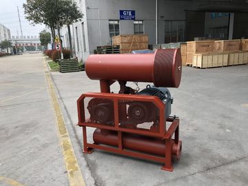 Serenation BK7006 3 Lobe Root Blower cho Tn / Backwashing