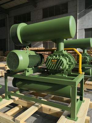 100 cổng 4 inch Dia Roots Type Blower Hiệu suất cao Tiêu thụ năng lượng thấp