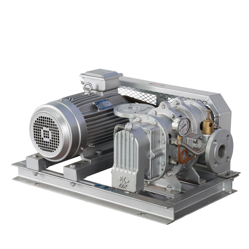 BX100 4'' 3.18-11.74 m³/phút 0.1-0.7 kgf/cm² Máy thổi khí kiểu Roots bằng thép không gỉ dòng BX