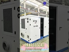 Máy thổi rễ vít BLG