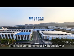 BX Thép không gỉ Roots Blower