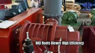 Máy thổi rễ cây BKD