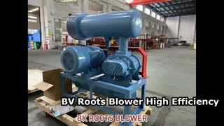 Máy thổi rễ BV