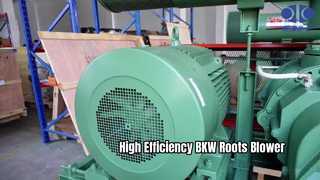 Máy thổi rễ BKW